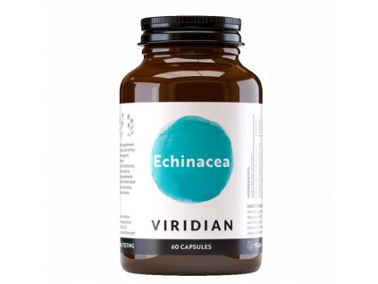 Viridian Echinacea