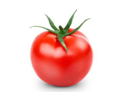 rajce