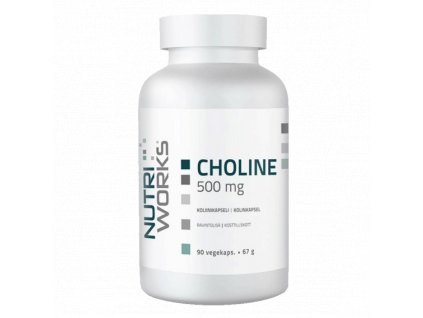 NutriWorks Choline 500mg