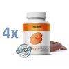 reishi4