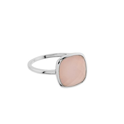 Untitled 2026 02 04T141854.596