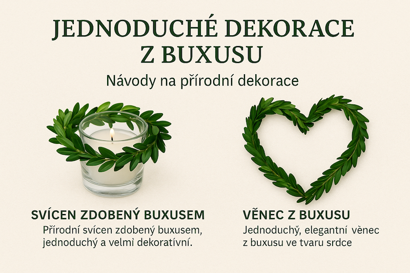 Jednoduché přírodní dekorace z buxusu: Návod krok za krokem
