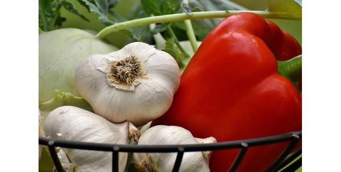 Co pomáhá proti zápachu z česneku?