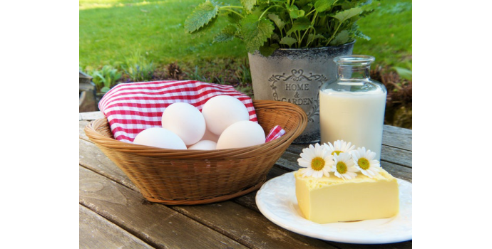 Vápník a vitamín D pro správnou funkci a pevnost vašich kostí