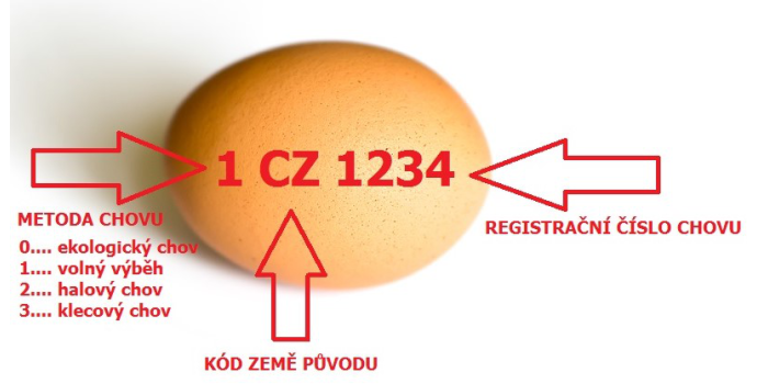 Velikonoce a vejce: jak poznat čerstvá a proč je nekupovat v supermarketu?