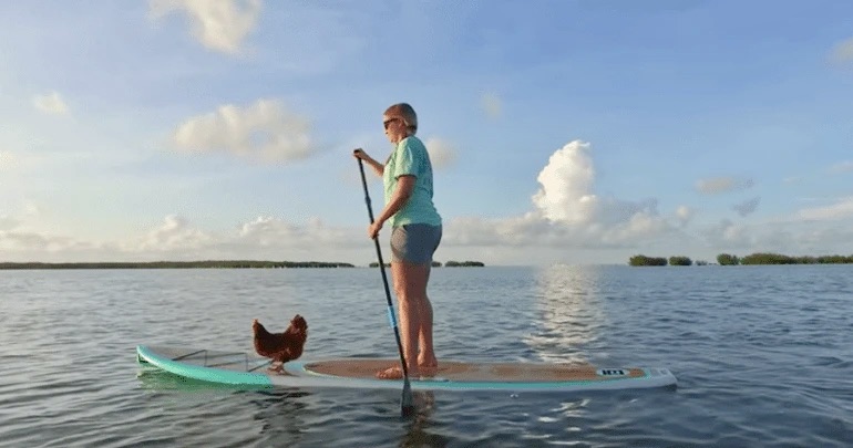 Vyzkoušejte paddleboarding – vhodný pro všechny generace