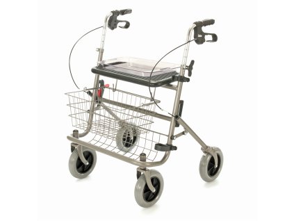 100 WHD, Čtyřkolové chodítko zesílené (Varianta barva šampaň)