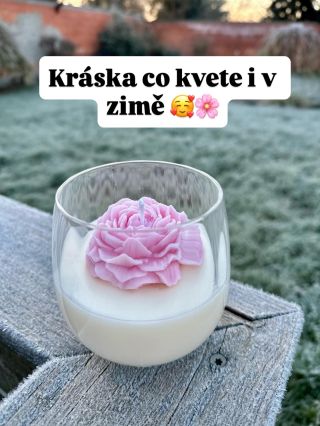 Představuji Vám další pivoňku v limitované edici. Je ji opravdu jen pár kousků. Sklo je ručně foukané v harrachovské...