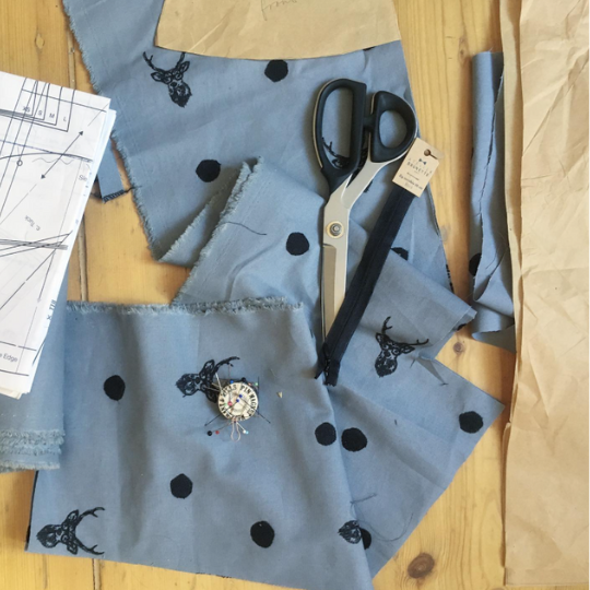 Naše kurzy v novém roce v pivoňce