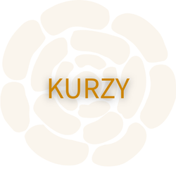 kurzy ikona pro peonygarden.cz