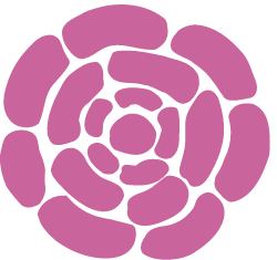 logo_3x_1