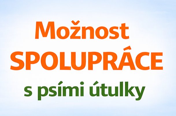 Spolupráce