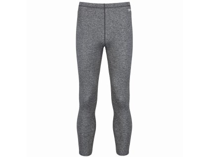 Pánské funkční termo spodky Regatta Vettis Pants RMU024 šedé 3XL