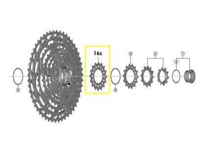 pastorek Shimano CS-M9100 16z