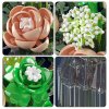 White Rose MOULD KING 24109 - Flower World