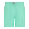 Pánské rychleschnoucí plavkové šortky Regatta Men's Mackleyna Swim Short RMM032