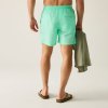 Pánské rychleschnoucí plavkové šortky Regatta Men's Mackleyna Swim Short RMM032