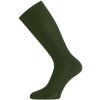 Lasting merino ponožky DWA zelené (Velikost S)