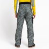 Pánské lyžařské kalhoty Dare2b Absolute II Pant