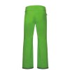 Pánské lyžařské kalhoty Dare2B Certify Pant II DMW423R
