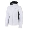 Dámská lyžařská bunda Dare2B Create Jacket DWP426