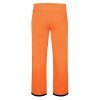 Pánské lyžařské kalhoty Dare2B Certify Pant II DMW423R 4PE