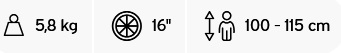 16