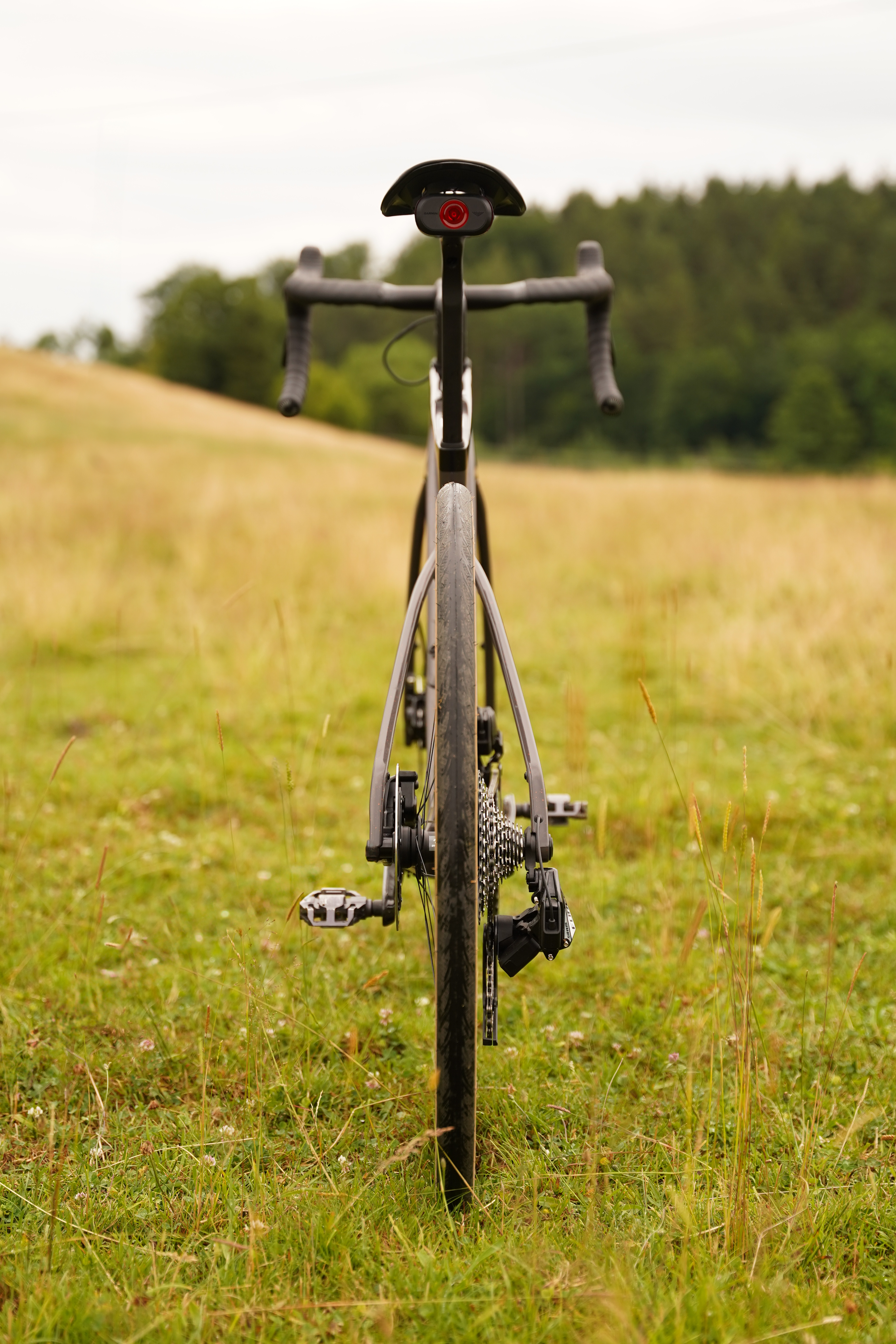 Cannondale Synapse Carbon