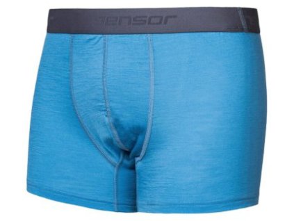 Pánské funkční trenky Sensor Merino Active - Modrá