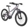 Cannondale Trail 20 - Lavender