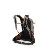 Batoh Osprey Raptor 14 - Pediment grey