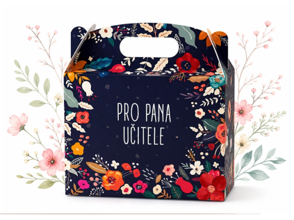 pan ucitel II