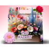 PRO RADOST