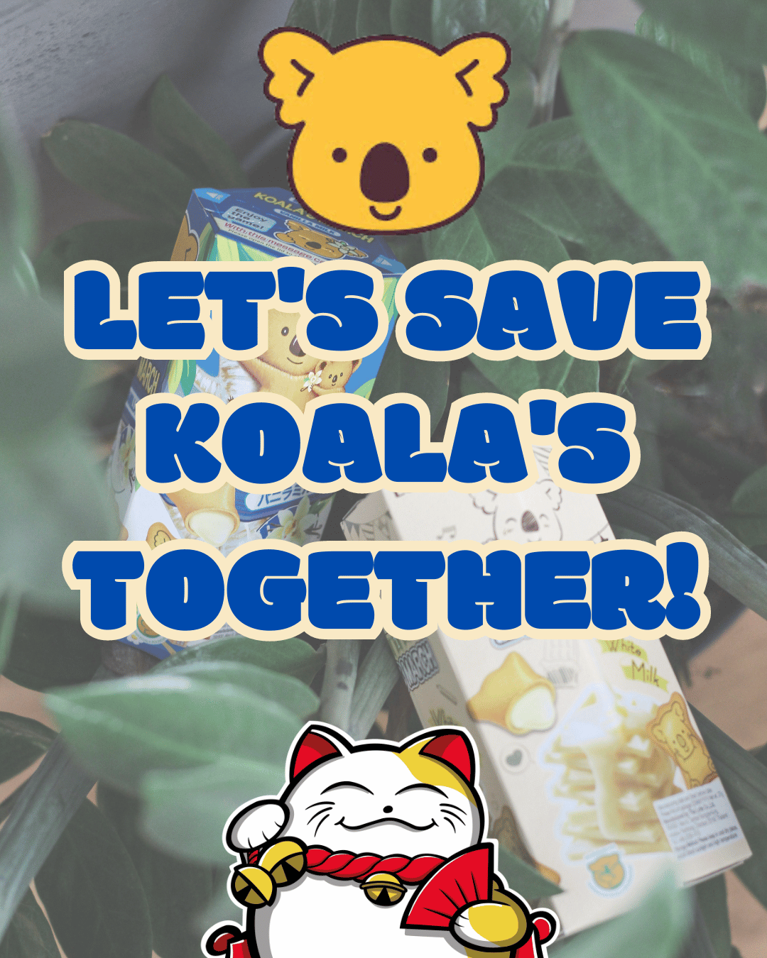 Lotte Koala's March: Sušenky, které zachraňují koaly!