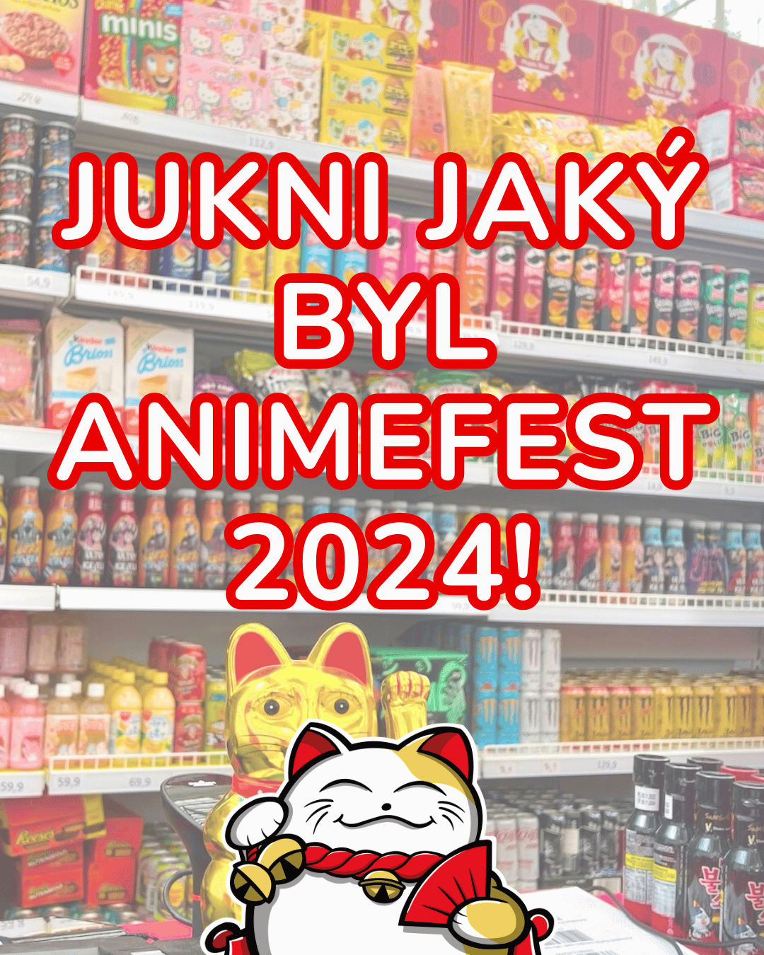 🎉 Děkujeme za fantastický Animefest 2024 v Brně! 🎉