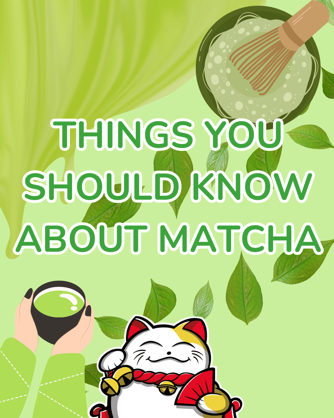 Vše, Co Musíte Vědět o Matche!