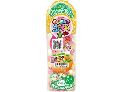 Lotte Bubble Gum Broskev & Pomeranč 35g JAP