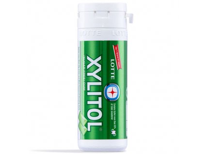 Lotte Xylitol Lime Mint Flavor Gum 29g THA