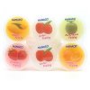 506 ovocny mix pudink 480g