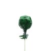 Cannabis Lízátko 12g EU
