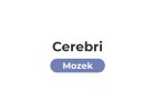 MOZEK s BIOPULSE® CEREBRI