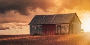 Proč BARN?