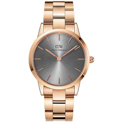 Pánské hodinky DANIEL WELLINGTON Iconic Link DW00100332 (zw003a)