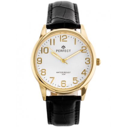 Pánské hodinky PERFECT Klasické (zp269e)