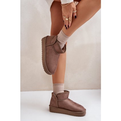 Dámské Sněhule Na Platformě D.Franklin DFSH370010 Taupe (Velikost 38, Barva Béžová)