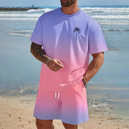 Pánská letní souprava – plážové kraťasy a tričko, pohodlný styl (Barva (varianta) YTZWWJF242613F, Velikost 2XL)