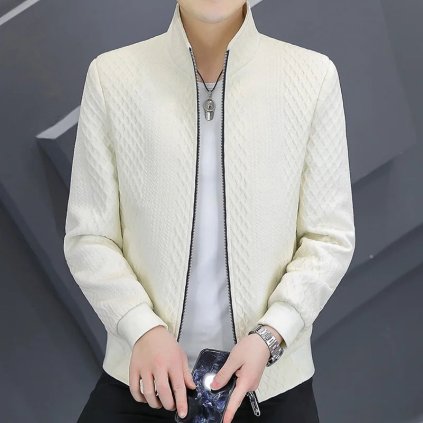 Pánská lehká bunda se stojáčkem (Barva Bílá, Velikost 2XL)