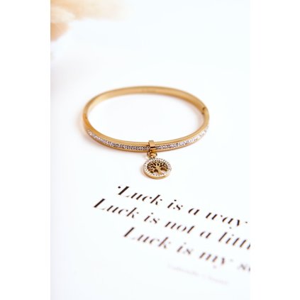 Ocelový Náramek S Kubickým Zirkonem Strom života Zlatý Alive (Velikost ONE SIZE)