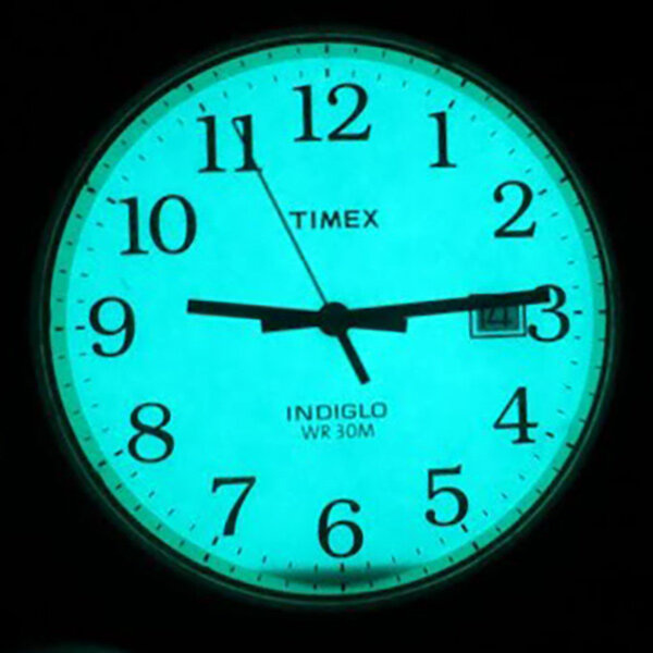 Pánské hodinky TIMEX EASY READER TW2W95400 + BOX (obrázek 4)