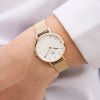 Dámské hodinky DANIEL WELLINGTON DW00100348 - Petite Evergold 32mm